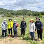 【農業イベント】ニンニク畑の草取り行いました！第2弾